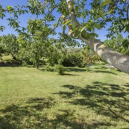 Isola Delle Api 3* Terme di Petriolo